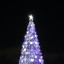 SONY DSC